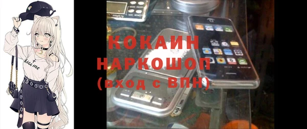 бошки Алексин